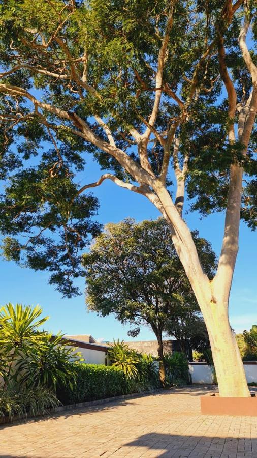 Pousada Rancho Bonito Bonito  Eksteriør billede